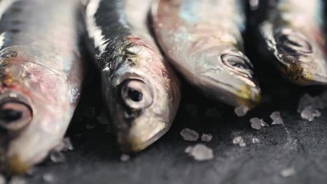 fresh anchovies