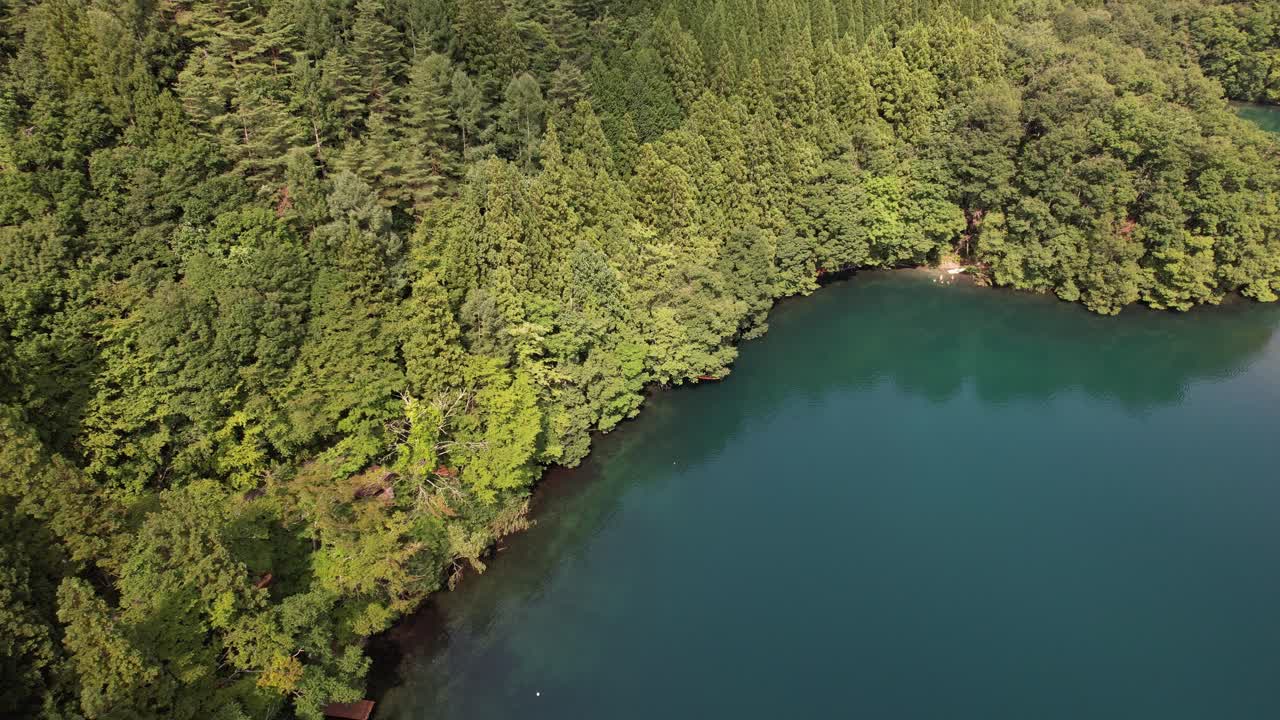 Luftaufnahme von See und Wald