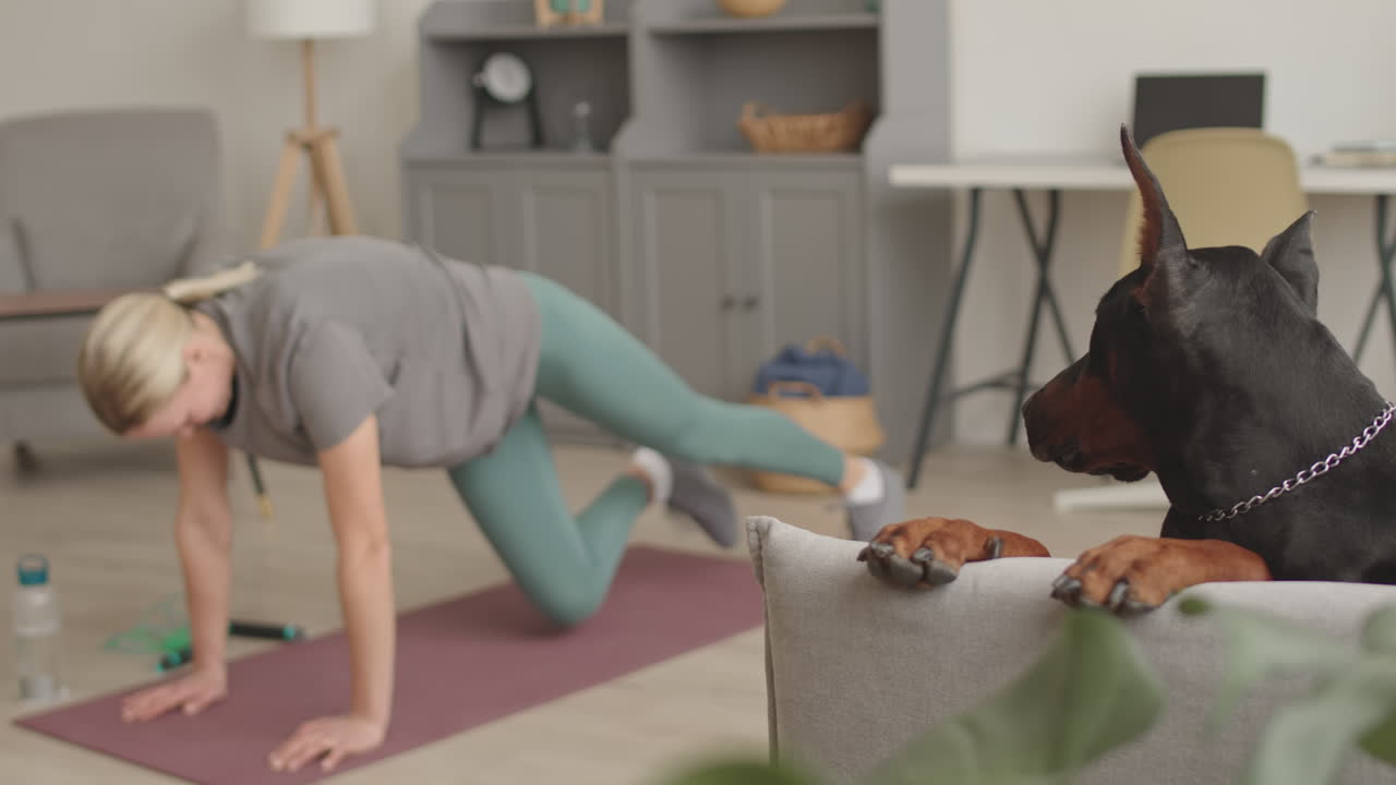 Dog Watching Female Owner Exercising