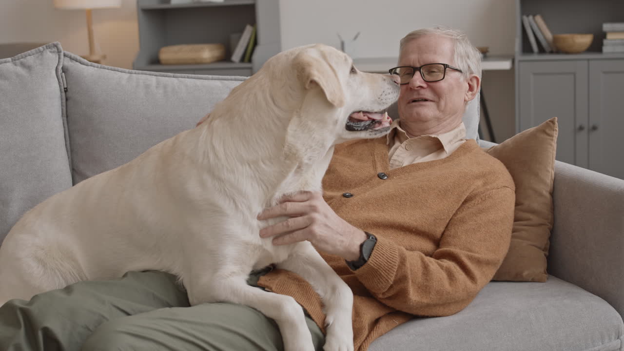 Senior Man with Labrador Retriever at Home