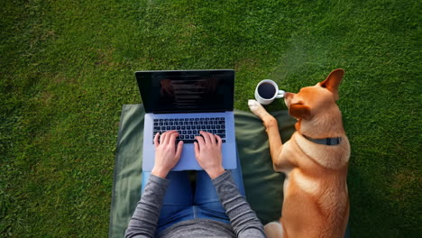 person working on a laptop with a dog on the grass