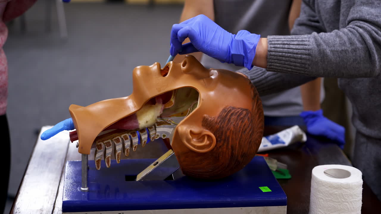 Reanimation training. Trainer demonstrates medical procedure on a dummy head. CPR procedure. Close-up.