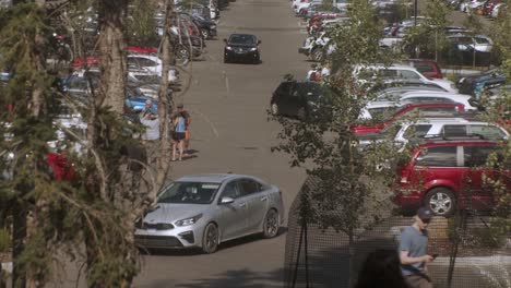 parking and departing cars on a busy parking lot