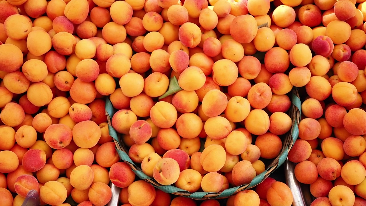 Abricots orange vifs empilés sur un étal de fruits