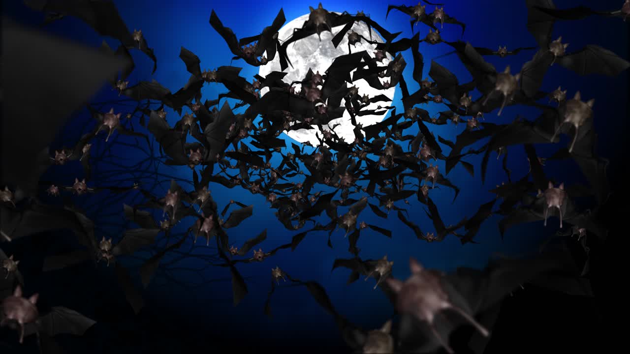 Bats Flying at Night Under the Moon