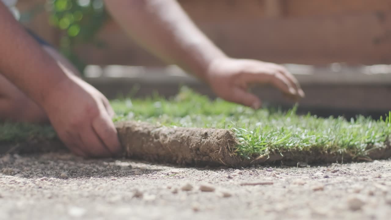 rollo de nuevo césped natural instalado por jardinero profesional. industria de jardinería.