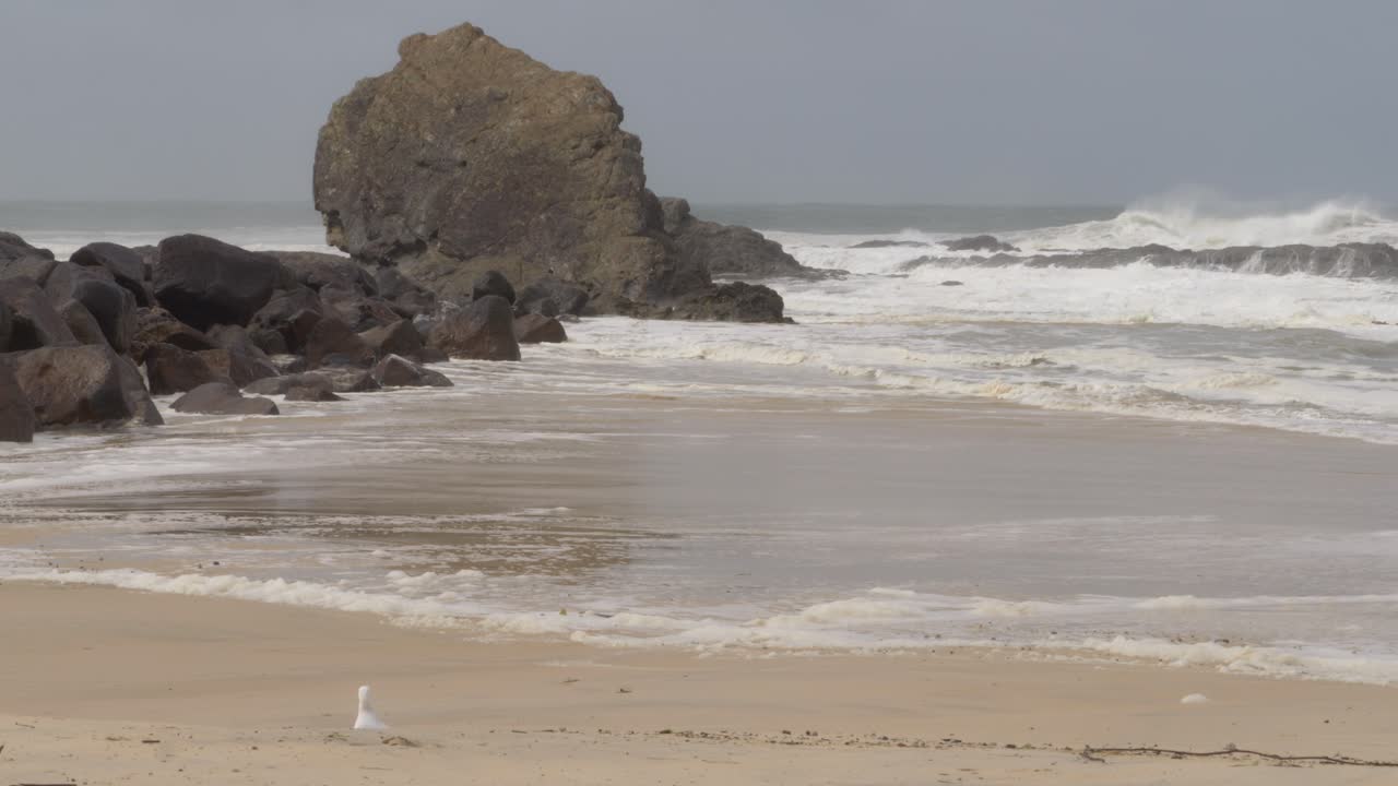 Seagulls At The Beach Of Currumbin Alley During Cyclone Alfred In Australia - Wide Shot