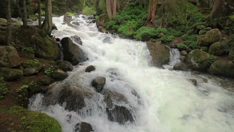 Río-De-Montaña-En-El-Bosque-En-Cámara-Lenta.-Hermoso-Paisaje-De-Vida-Silvestre.