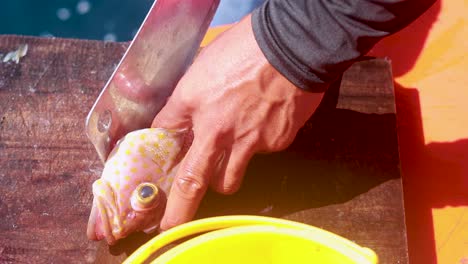 a person cleans a fish on a boat in phuket, thailand, using a large knife under bright sunlight