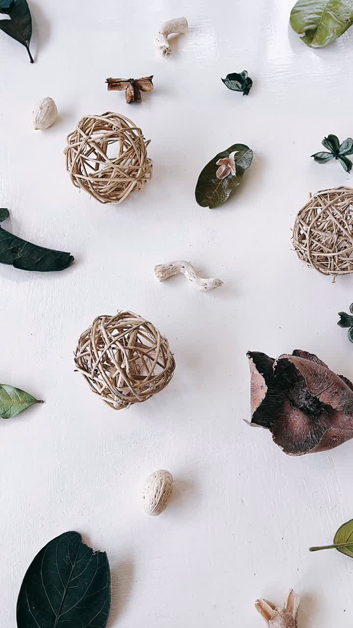 arreglo decorativo inspirado en la naturaleza sobre fondo blanco