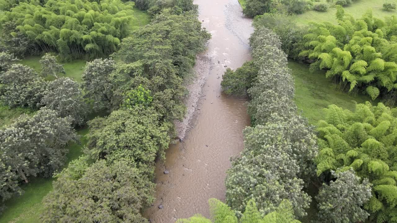 ríos, árboles, animales y naturaleza de colombia