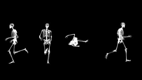 xray human running in slow motion, 4k, loop and alpha channel