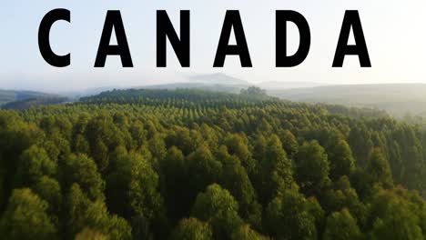 drone aéreo disparado sobre los bosques canadienses cubierto con gráficos animados que deletrean canada 1