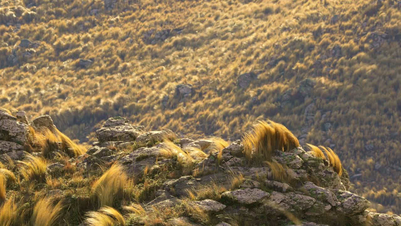 Vista de las Sierras de los Comechingones en Villa de Merlo, San Luis, Argentina