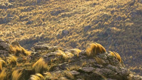 vista de las montañas comechingones en villa de merlo, san luis, argentina