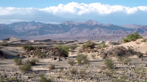 Dead-trees-and-green-shrubs-on-sand-dunes-in-the-Mojave-Desert-California,-Aerial-dolly-right-shot