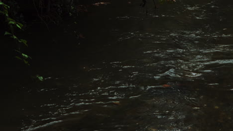 Slow-Motion-Of-River-Flowing-In-The-Forest-At-Autumn