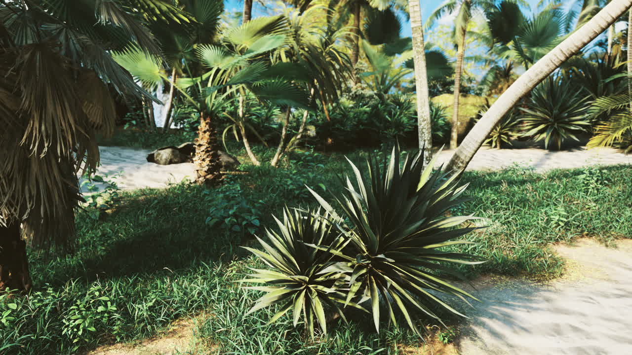 Tropical Landscape with Palm Trees and Lush Vegetation