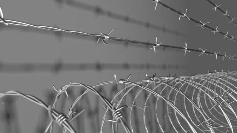 barbed wire loop 01