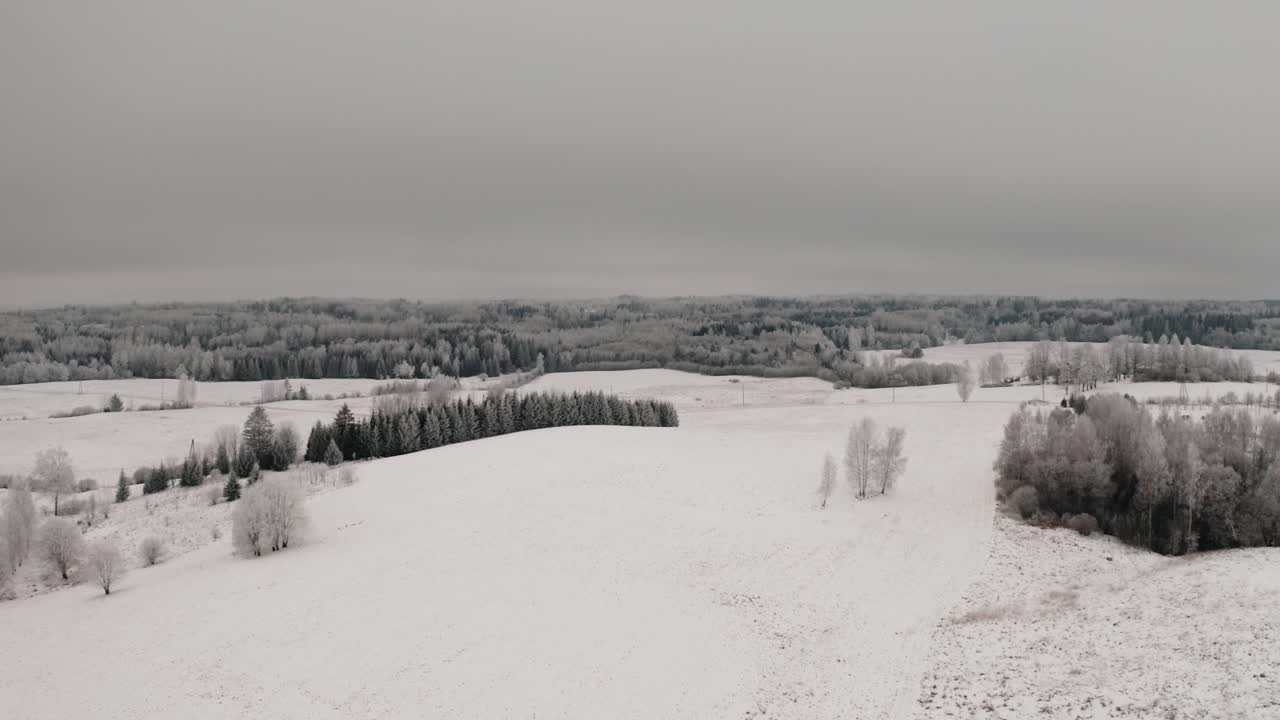 Flying over a snow covered field in winter. Snow on the ground and frost in the trees. Aerial drone shot in countryside on a misty cloudy day. Frozen trees in the winter.