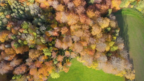 Bosque-En-Colores-Otoñales-En-La-Meseta-Suiza,-Cantón-De-Vaud,-Suiza