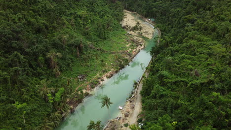 odkrywające zdjęcie z powietrza rzeki z drzewami palmowymi w lesie cebu na filipinach, dron, filmowy