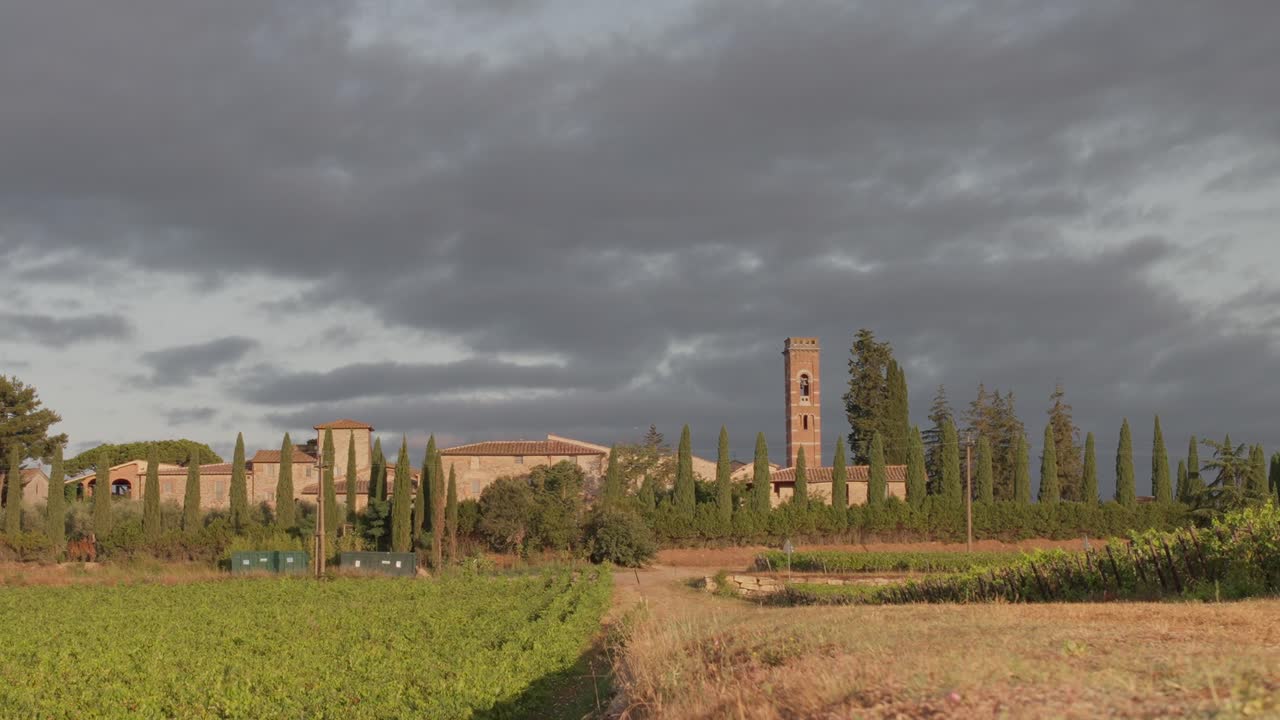 Scena dalle colline vitate della Toscana, Italia