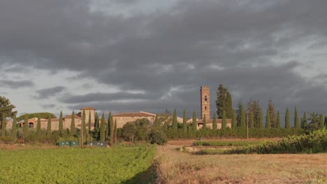 scene from the vineyard rowed hills of tuscany, italy