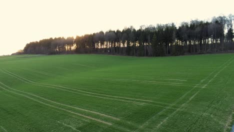 panning from left to right over agricultural field during sunrise in germany