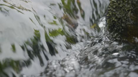 close-up of a fast-flowing stream