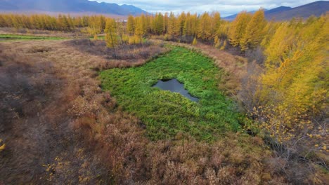 aerial view of autumnal wetland