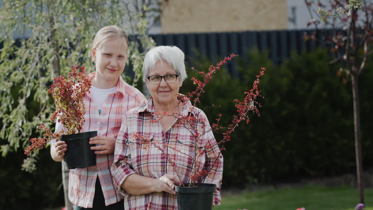 손녀 와 함께  ⁇ 은 여자 의 초상화 가 정원 에 심기 위해  ⁇ 비 식물 을 들고 있다
