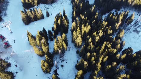 High-altitude-aerial-tracking-shot-of-a-disused-chairlift-running-between-coniferous-forest-with-skiers-passing-on-a-slope-nearby,-Vitosha,-Bulgaria