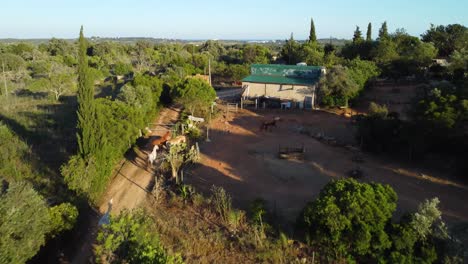 Caballos-Que-Regresan-A-Sus-Establos-Después-De-Un-Día-En-El-Campo