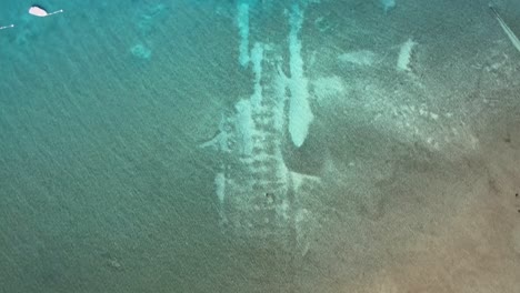 drone shot looking straight down at the water as it goes from shoreline to deep blue water in lake tahoe