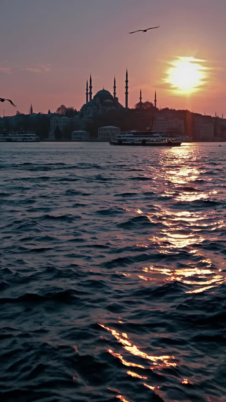 Sunset over Istanbul's skyline with seagulls, captured from a low-angle, emphasizing the serene