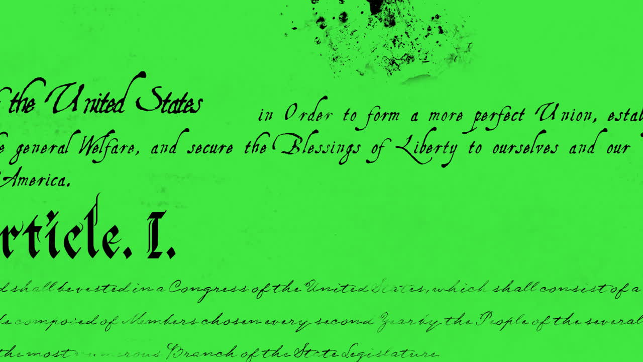 미국 헌법 4k