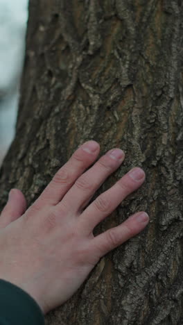 un primer plano de la mano de un hombre tocando la corteza de un árbol removido, el hombre lleva una chaqueta verde, y el fondo está suavemente borroso
