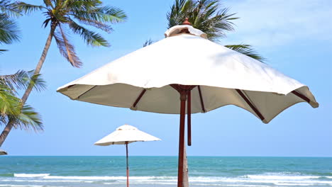 white beach umbrellas stir move shake under the wind on the tropical beach at seafront hotel area lounge day time