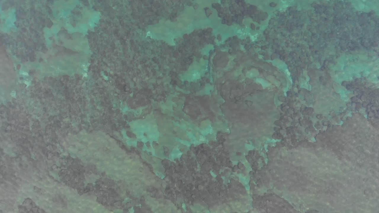 lago ontario agua clara en un día nublado en el otoño