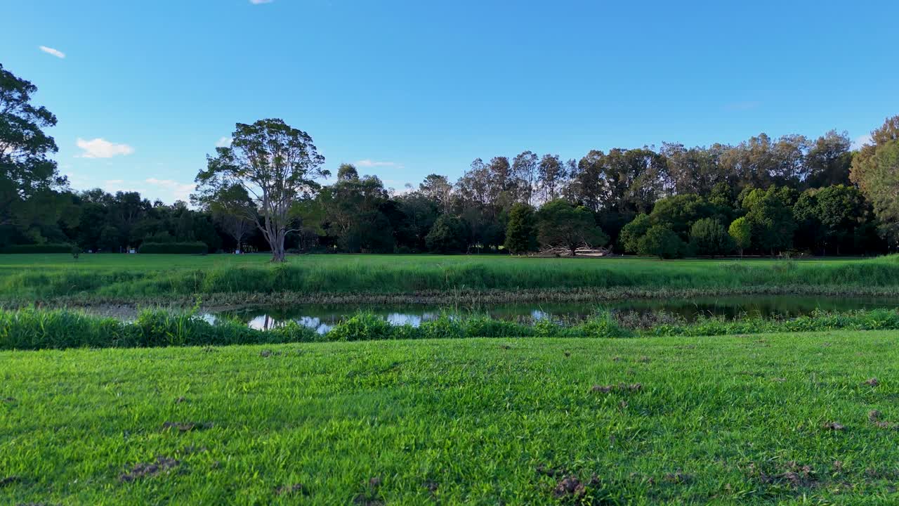 Aerial view of a tranquil wetlands park with a reflective lake, vibrant greenery, and clear blue skies