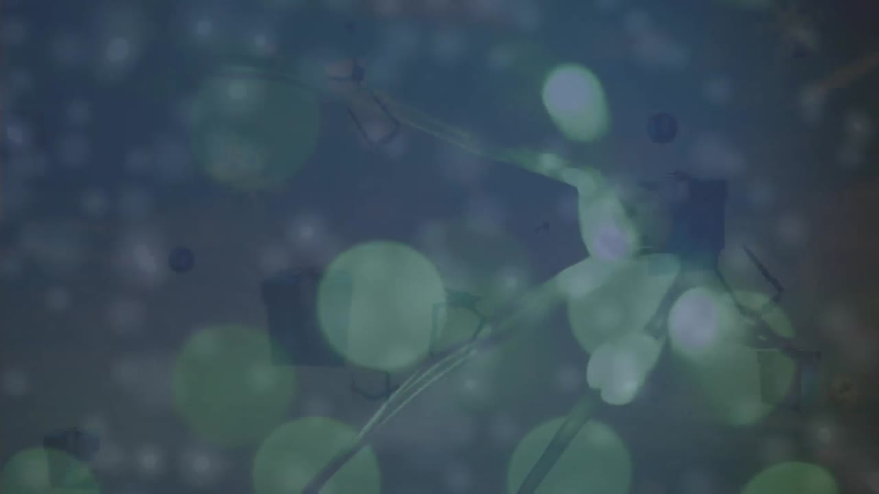 animación de la nieve cayendo sobre las flores en movimiento