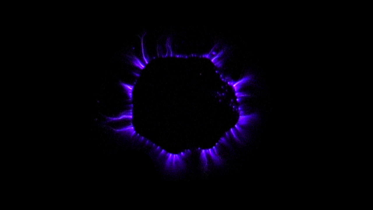 fotografía kirlian de la sección transversal de la vaina de okra