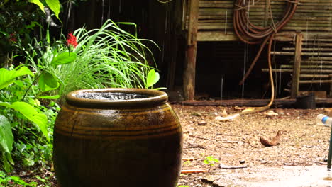 Día-Lluvioso-Tranquilo,-Maceta-Llena-De-Agua-Cerca-De-Plantas-En-El-Jardín