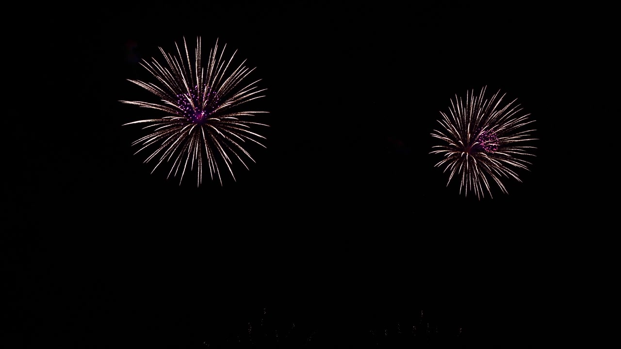Colorful Firework display at night on sky background