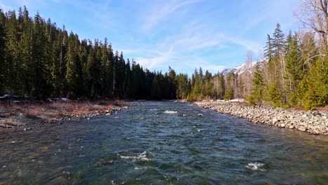 Low-flying-shot-of-flowing-river-in-evergreen-forest-in-Cle-Elum-on-a-blue-sky-day-in-Washington-State