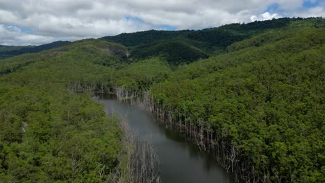 forward moving aerial view over nerang river, springbrook national park on the gold coast hinterland, queensland, australia