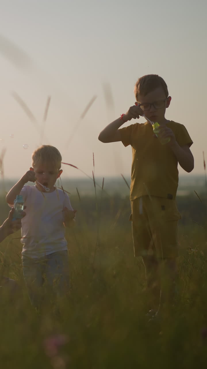 un momento di tranquillità in un campo erboso, dove una donna si siede mentre un ragazzino si piega accanto a lei, e un altro ragazzo sta vicino. soffia gioiosamente bolle in aria, crogiolandosi nel caldo bagliore del sole