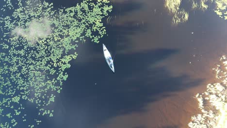drone filmando a un hombre pescando desde una canoa en un lago con hojas verdes y hierba