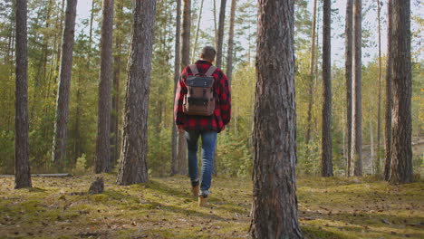 A-young-man-walks-uphill-from-the-forest-in-autumn-in-slow-motion-with-a-backpack.-A-hipster-man-in-a-plaid-jacket-walks-through-a-beautiful-woodland-area-in-an-autumn-Park.-High-quality-4k-footage